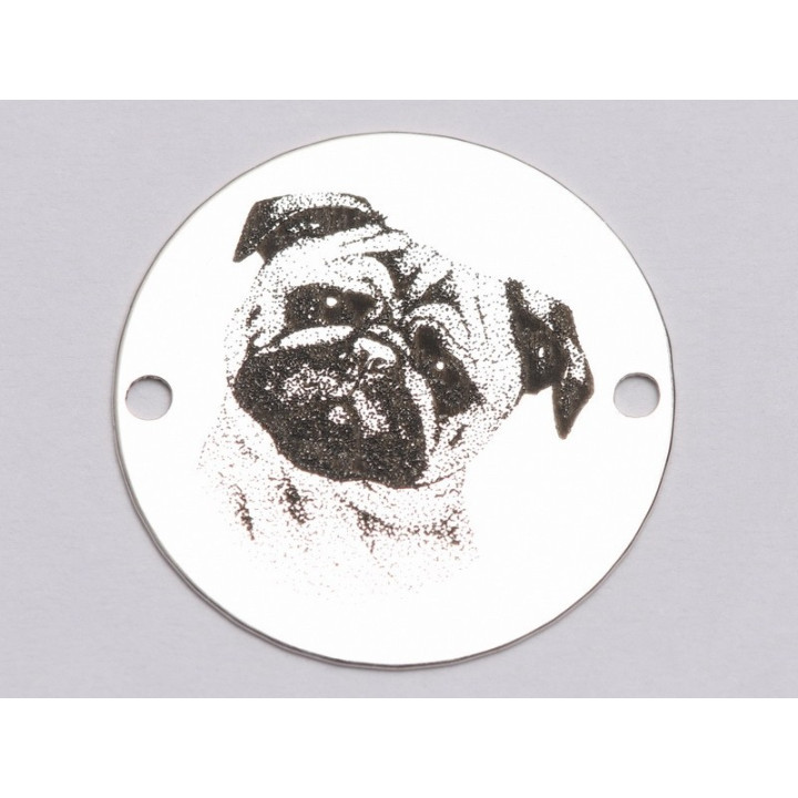 E1126-GS-Link Argint 925 Catel model 2 -  1buc