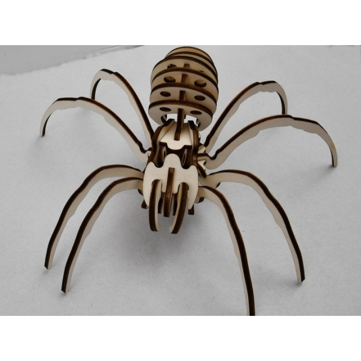 L237- Decupaj lemn tarantula   1buc
