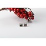 Tije cercei Argint 925 Luna- 1 pereche - bijuterii personalizate din argint | simoshop