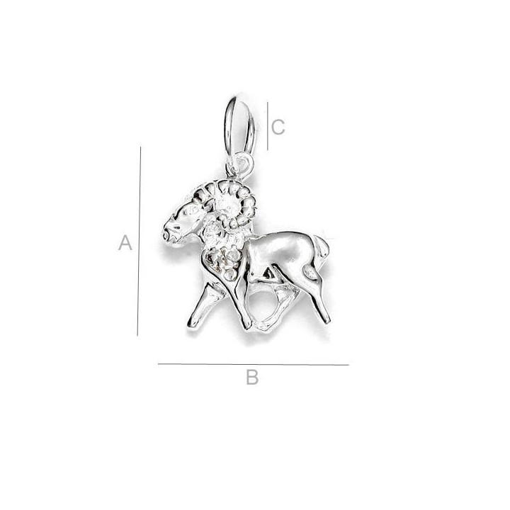 G1539-Semn zodiacal capricorn din argint 18mm