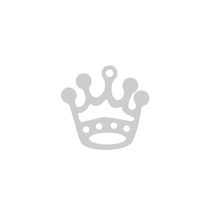 F0040 N Charm/link coronita 15x15mm 0.5mm