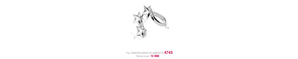 Accesorii din argint Star 4745
